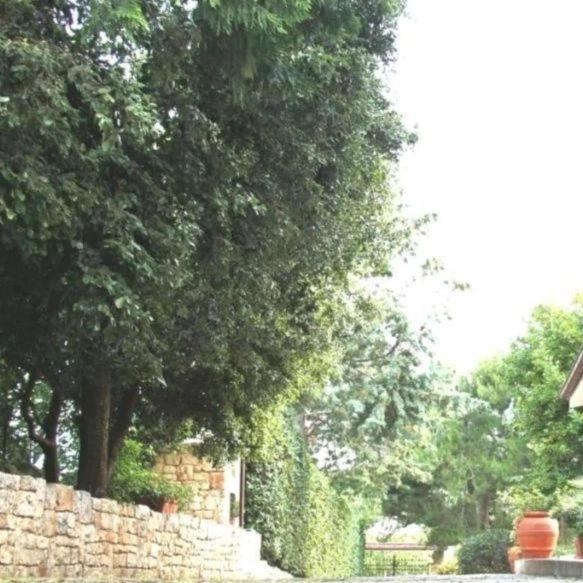 Casa Marisa Villa Vacanza Castellana Grotte Kültér fotó