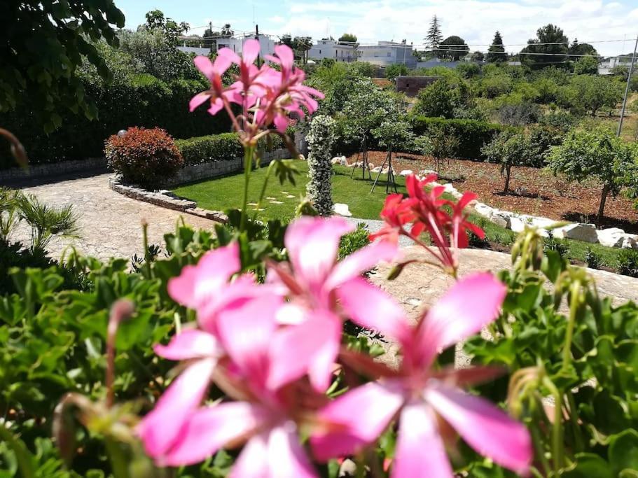 Casa Marisa Villa Vacanza Castellana Grotte Kültér fotó