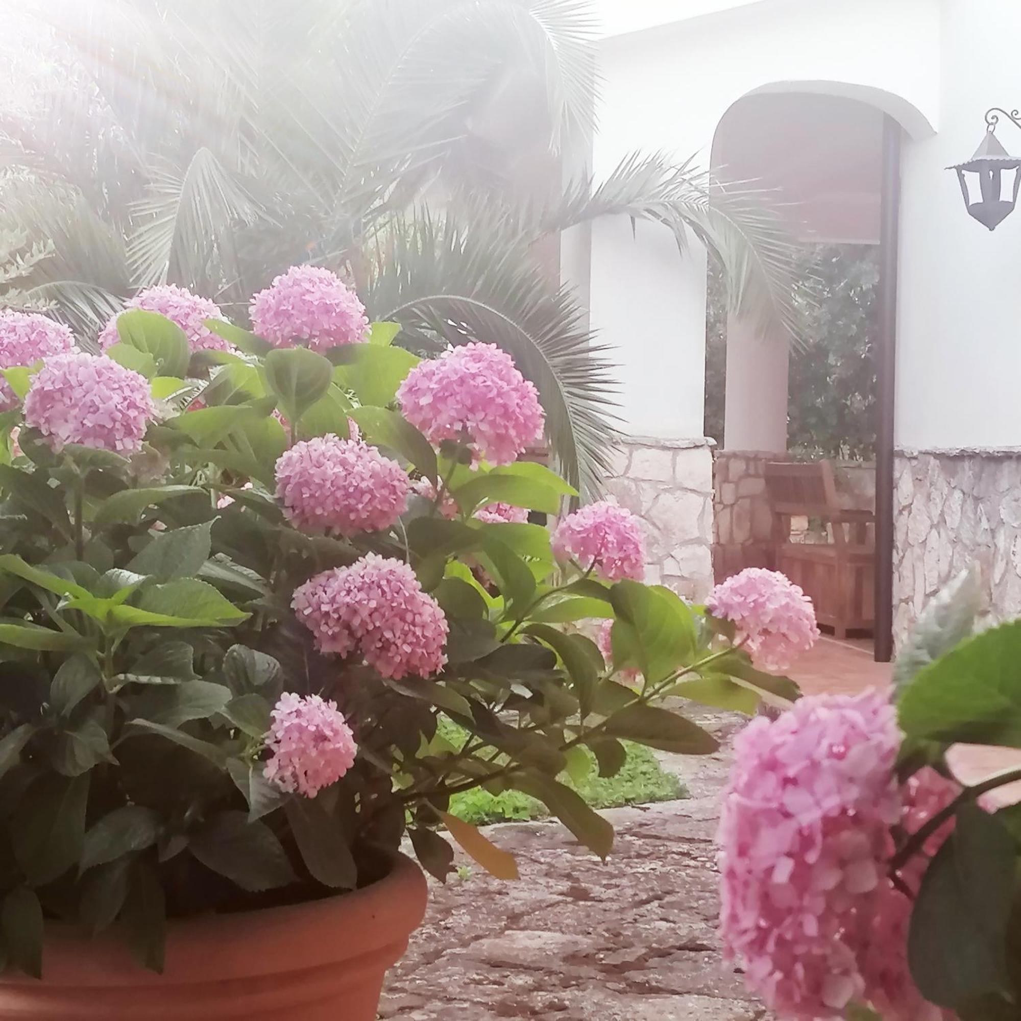 Casa Marisa Villa Vacanza Castellana Grotte Kültér fotó