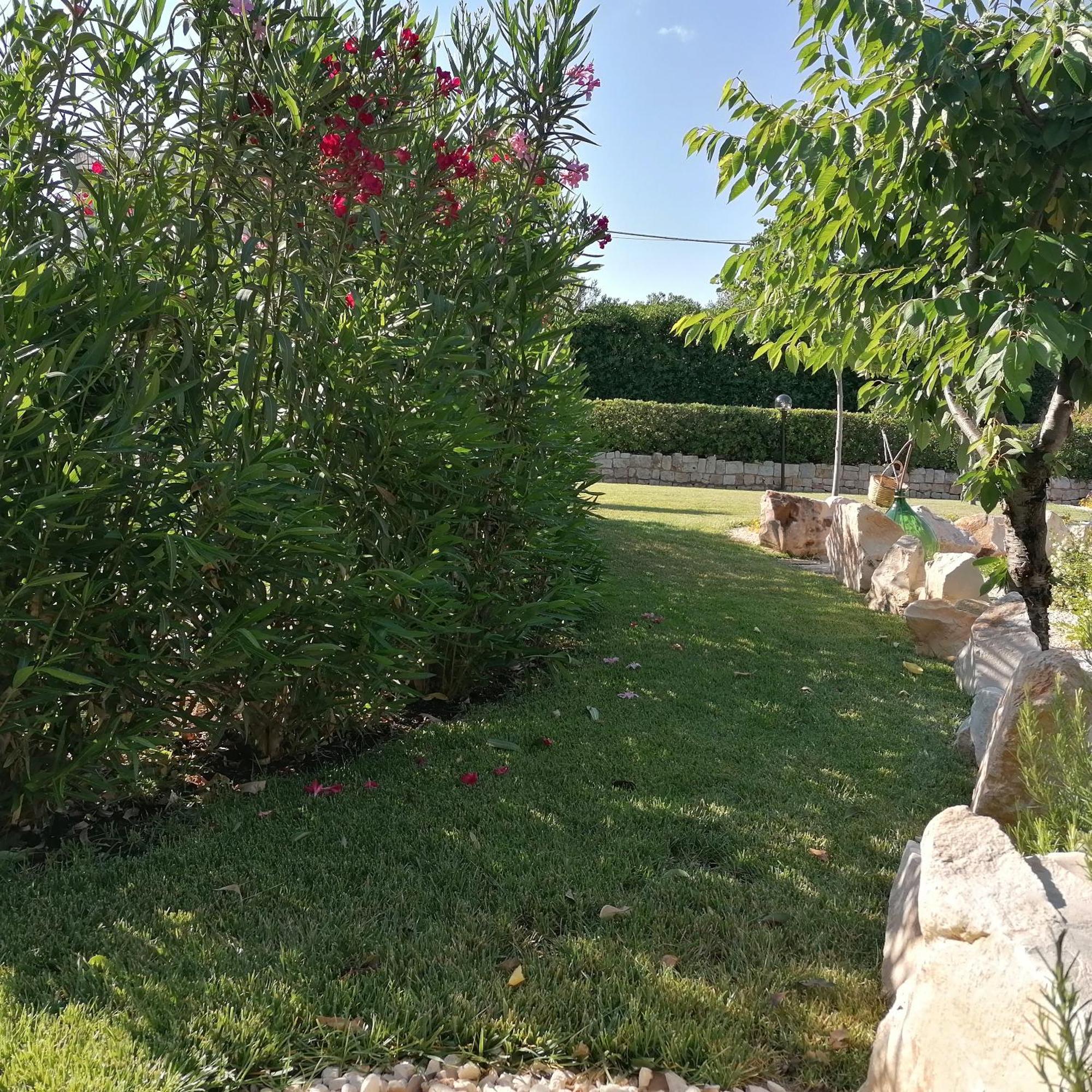 Casa Marisa Villa Vacanza Castellana Grotte Kültér fotó