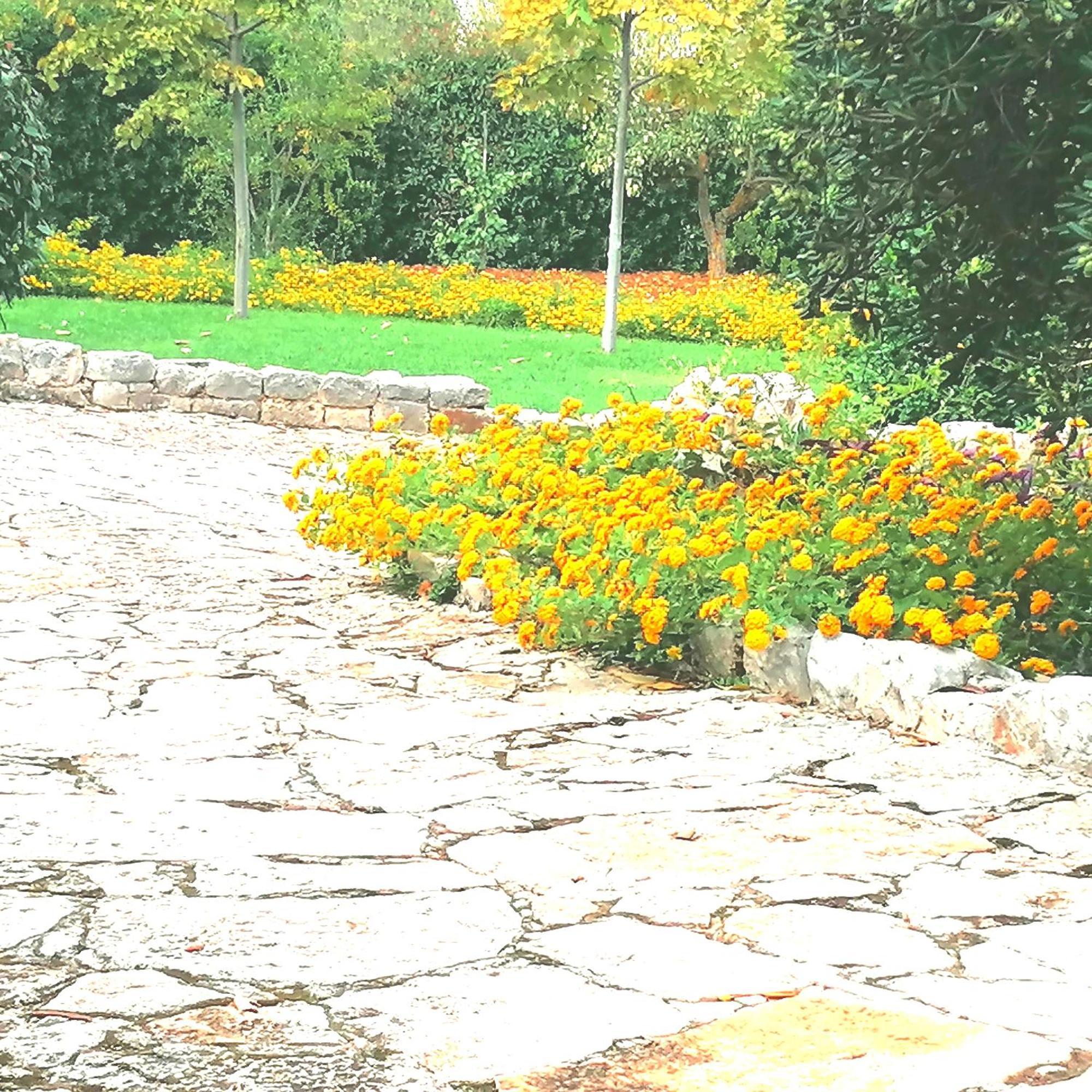 Casa Marisa Villa Vacanza Castellana Grotte Kültér fotó