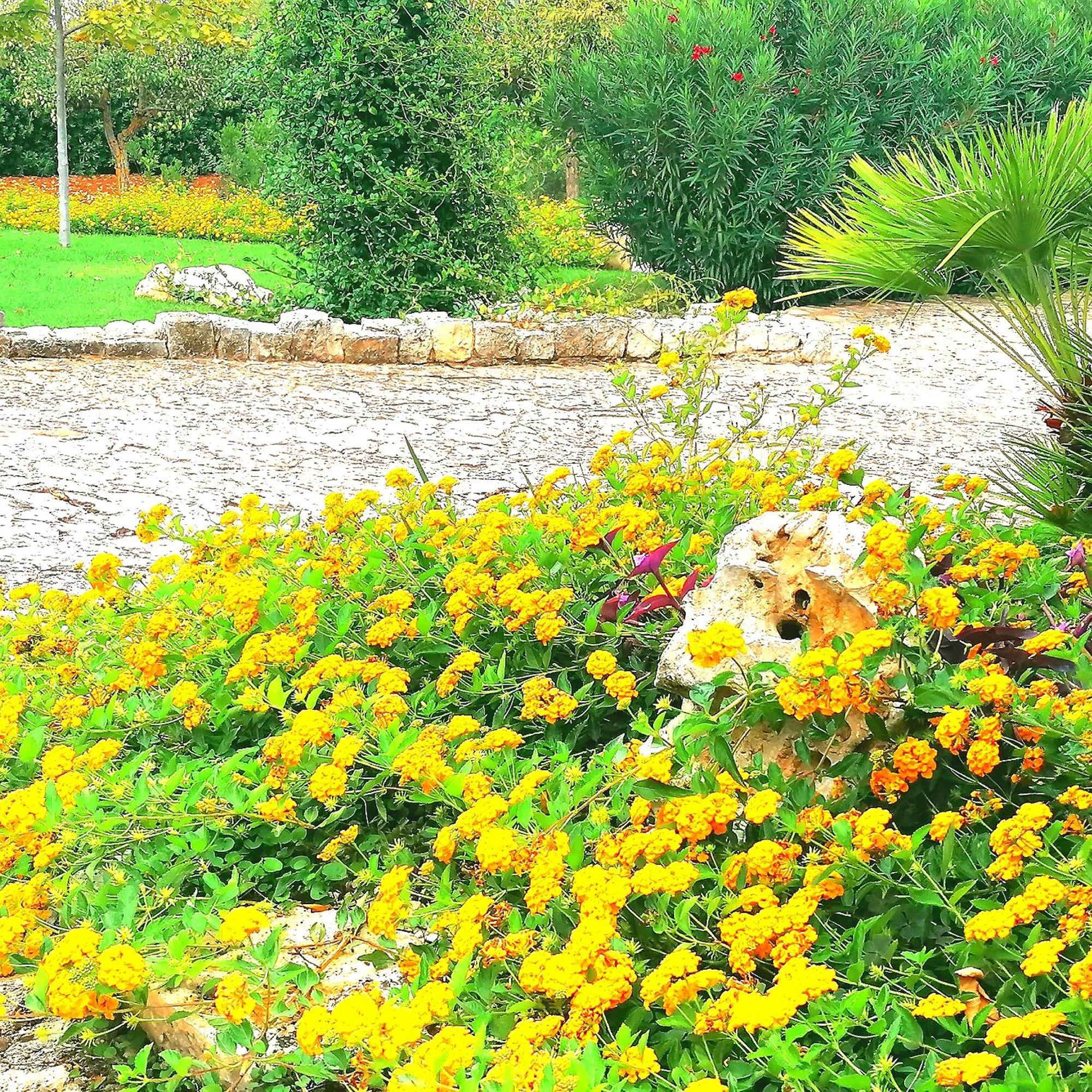 Casa Marisa Villa Vacanza Castellana Grotte Kültér fotó